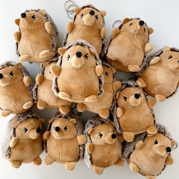 Collection of plush hedgehogs arranged in a circular pattern on a white background