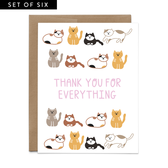 Cats Thank You For Everything Boxed Set