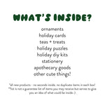 Mystery Holiday Box