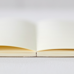 2026 MD Monthly Diary (A6)