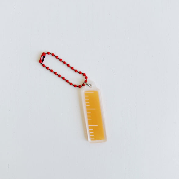 Ruler Bag + Journal Charm