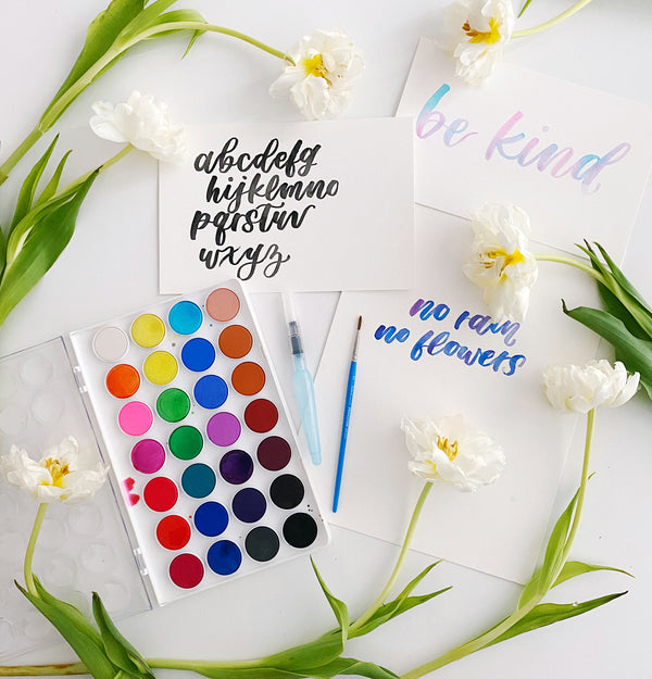 The Paper + Craft Pantry