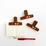 Apples Journal Clip
