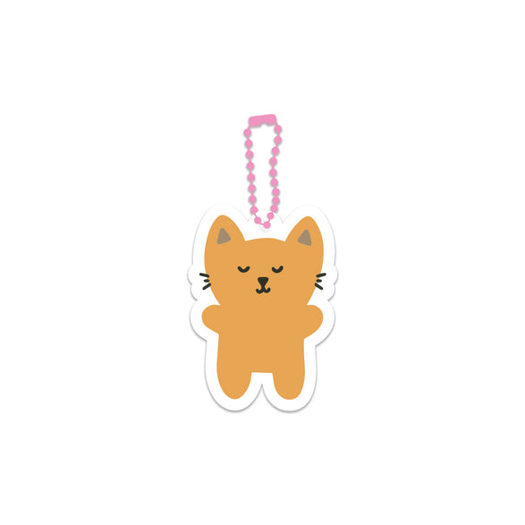 Pumpkin the Cat Bag + Journal Charm