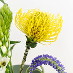 09.06.25 Ikebana Florals Workshop Ticket (In-Studio)