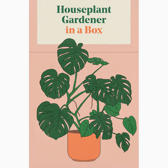 Houseplant Gardener in a Box