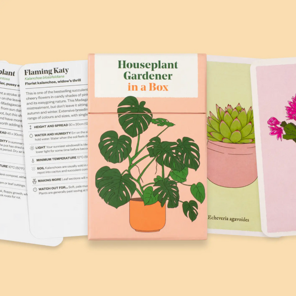 Houseplant Gardener in a Box