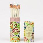 Cottage Tombow Colored Pencil Set of 18