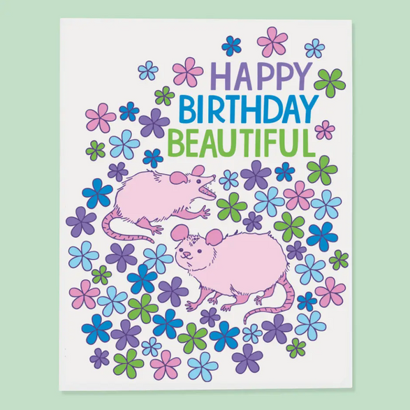 Opossum Beautiful Birthday