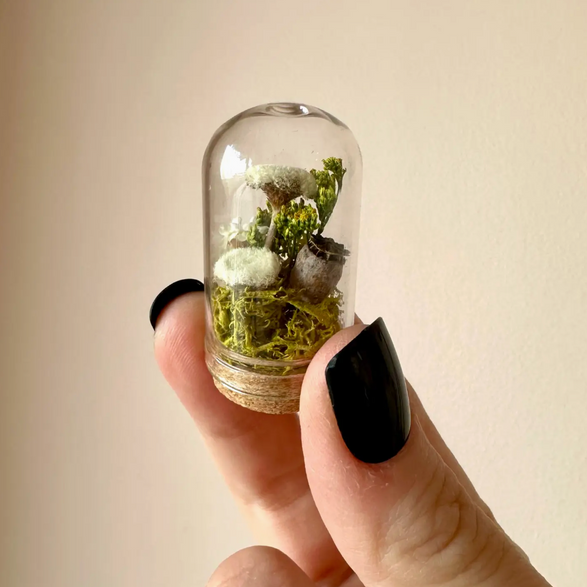 Mini White Fairy Garden Glass Terrarium