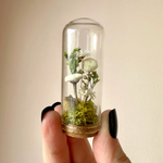 White Fairy Garden Glass Terrarium