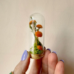 Orange Fairy Garden Glass Terrarium