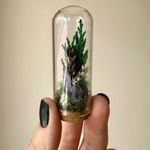 Purple Crystal Glass Terrarium