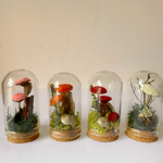 Mini Red Fairy Garden Glass Terrarium