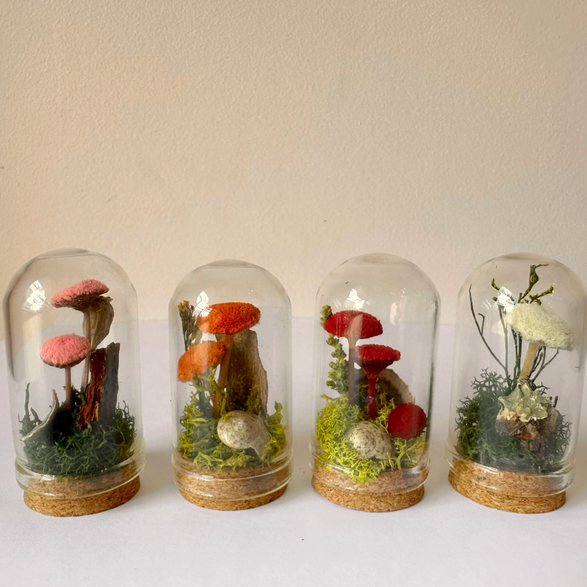 Mini Red Fairy Garden Glass Terrarium