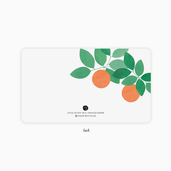 Orange Grove Little Notes