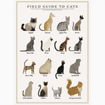 Cats Puzzle - 500 Pieces