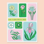 For A Very Special Mom