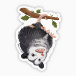 Hanging Opossum Sticker