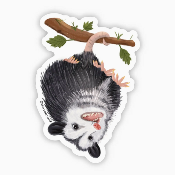 Hanging Opossum Sticker