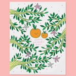 Mother's Day Oranges