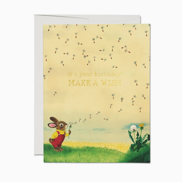 Make a Wish Birthday