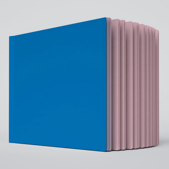 Large Ugly Book - Blue + Pink