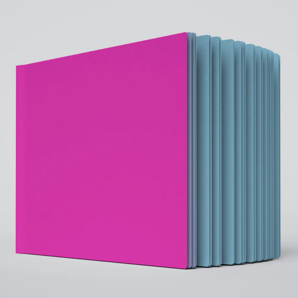 Large Ugly Book - Pink + Blue