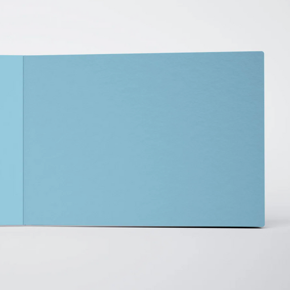 Large Ugly Book - Pink + Blue