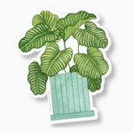 Calathea Orbifolia Sticker