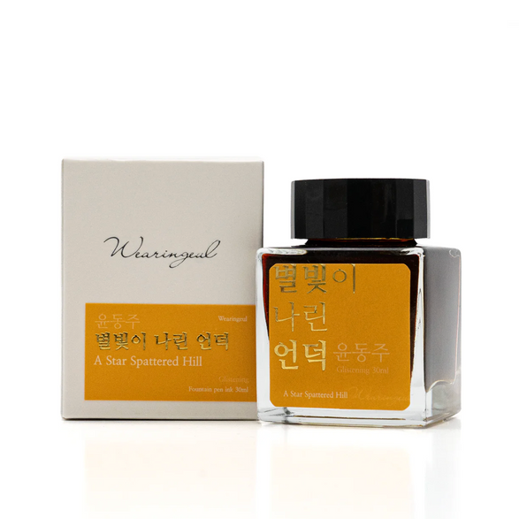 A Star Spattered Hill Fountain Pen Ink