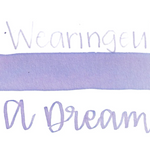 A Dream Within a Dream Fountain Pen Ink