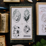 Floral Ours Stamp Set