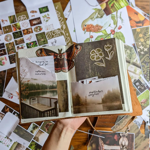 Woodland Magazine - Issue 09