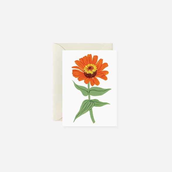 Mini Zinnia