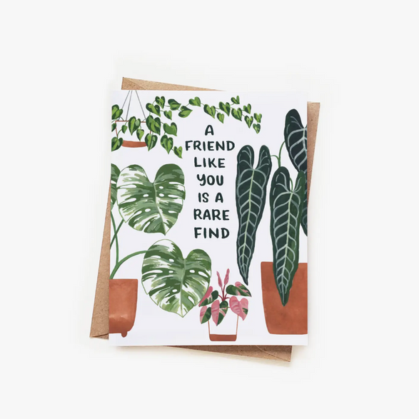A Friend Like You