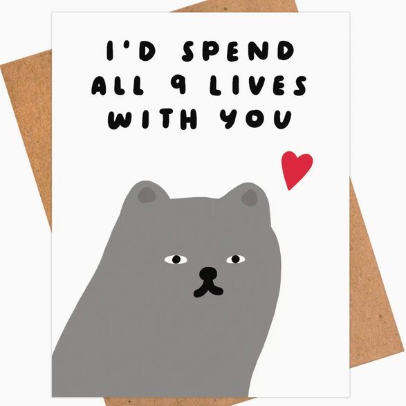 All 9 Lives Cat
