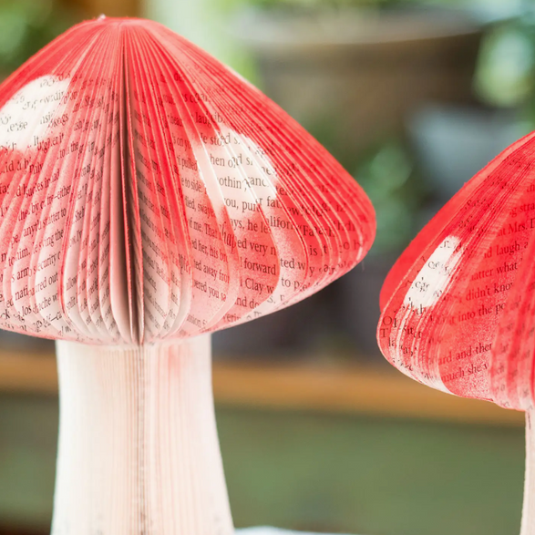 Book Mushroom - Large