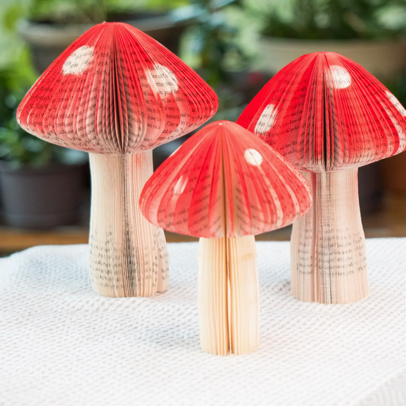 Book Mushroom - Small