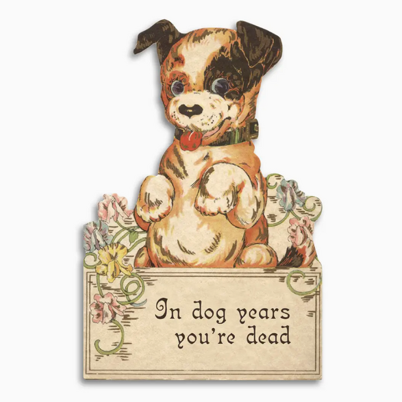 In Dog Years Birthday