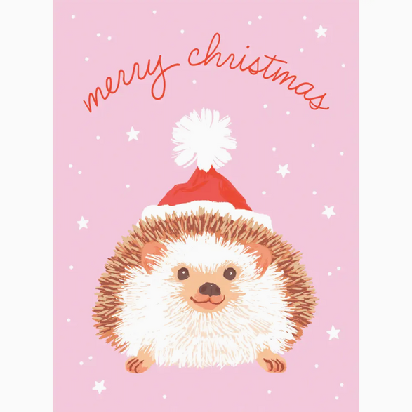 Hedgehog Santa