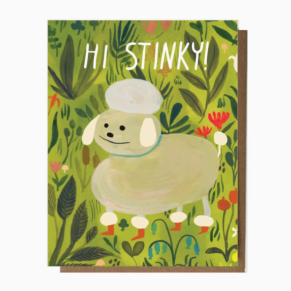 Hi Stinky Dog