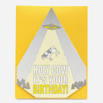 Holy Cow Birthday