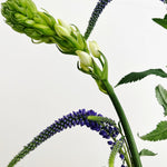 09.06.25 Ikebana Florals Workshop Ticket (In-Studio)