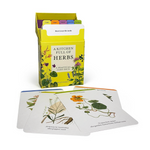 Kitchen Full of Herbs Deck