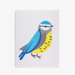 Mini Blue Tit Bird