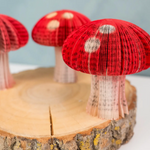 Mini Book Mushroom