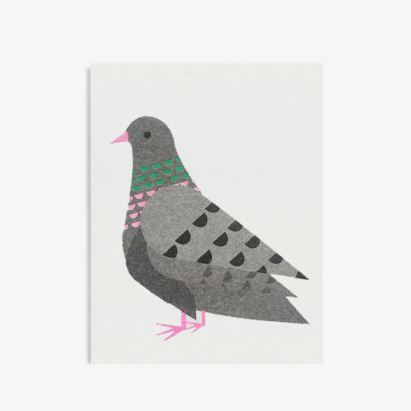 Mini Pigeon