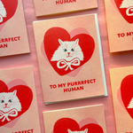 To My Purrrfect Human