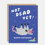 Not Dead Yet Birthday Possum